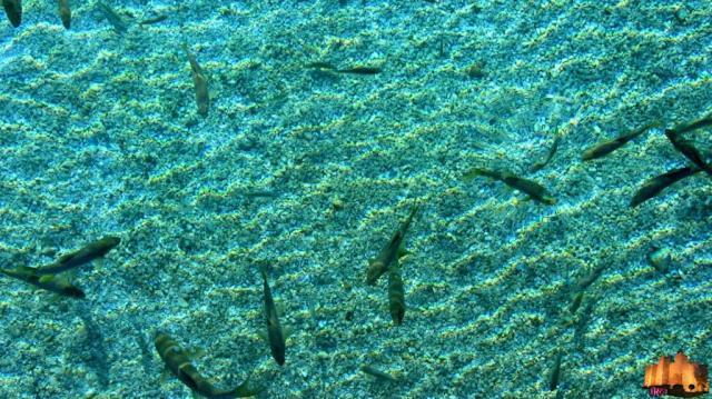 Апартаменты El Rincon Coqueto De Fina Орсе Экстерьер фото